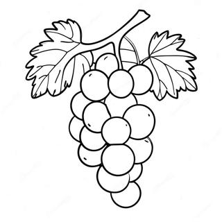 Grape Coloring Page 17324-14552