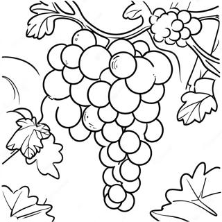 Juicy Grapes In A Vineyard Coloring Page 17325-14553