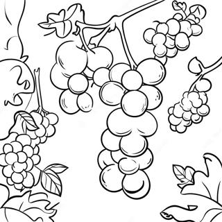 Juicy Grapes In A Vineyard Coloring Page 17325-14554