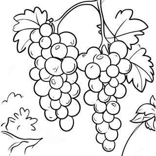 Juicy Grapes In A Vineyard Coloring Page 17325-14555