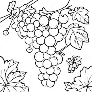 Juicy Grapes In A Vineyard Coloring Page 17325-14556