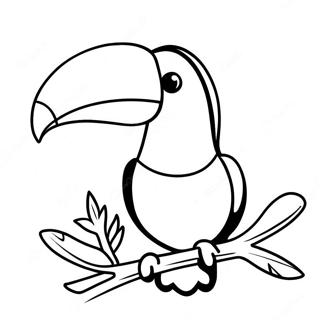 Toucan Coloring Page 17504-14695