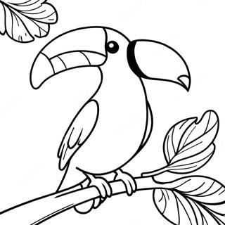 Toucan Coloring Page 17504-14696