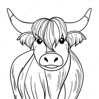 Highland Cow Coloring Pages