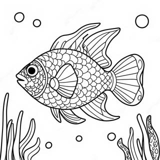 Sparkling Rainbow Fish Coloring Page 17836-14954