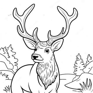 Elk Coloring Page 18565-15543