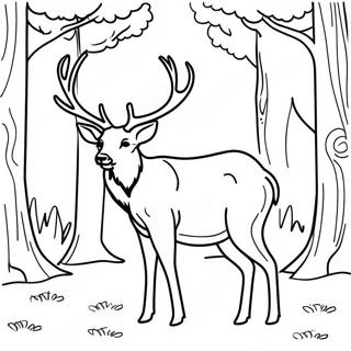 Elk Coloring Pages