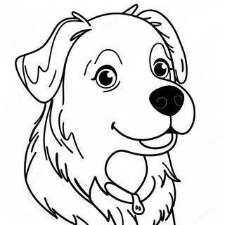 Australian Shepherd Coloring Page 18575-15550