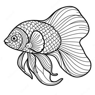 Beta Fish Coloring Page 19048-15927