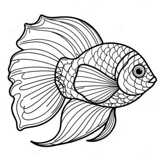 Colorful Beta Fish Swimming Coloring Page 19049-15932