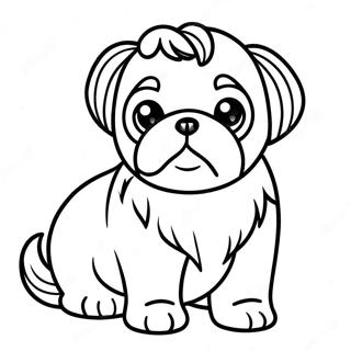 Shih Tzu Puppy Coloring Page 19318-16142