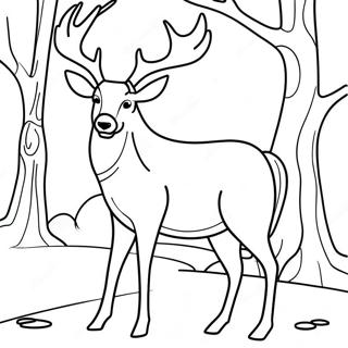 Buck Coloring Page 20291-18854