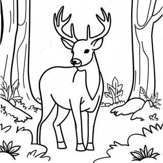 Majestic Buck In A Forest Coloring Page 20292-18857