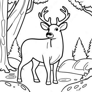 Majestic Buck In A Forest Coloring Page 20292-18858