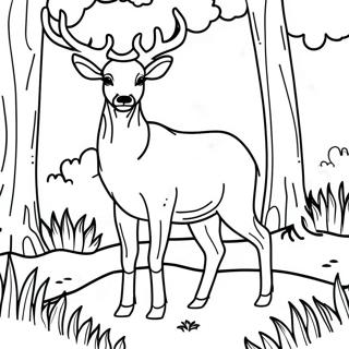 Majestic Buck In A Forest Coloring Page 20292-18859