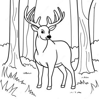 Majestic Buck In A Forest Coloring Page 20292-18860