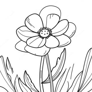 Buttercup Flower Coloring Page 20561-19070