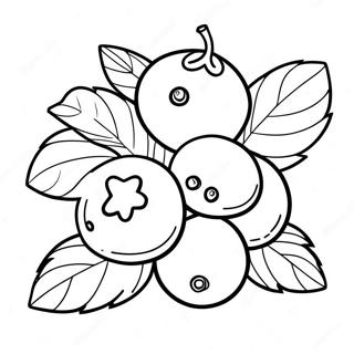 Blueberry Coloring Pages