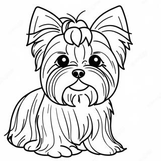 Fluffy Realistic Yorkie Coloring Page 21483-19797