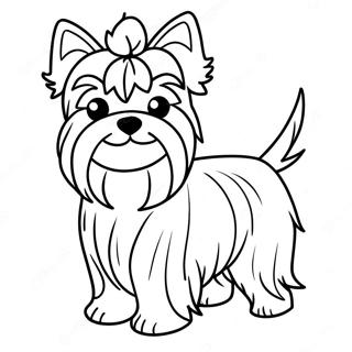 Fluffy Realistic Yorkie Coloring Page 21483-19944