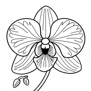 Orchid Coloring Page 22433-20690