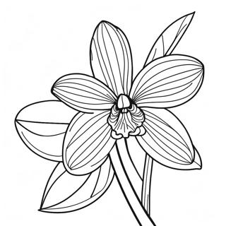 Beautiful Orchid Flower Coloring Page 22434-20694