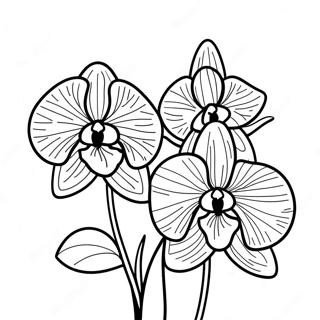 Beautiful Orchid Flower Coloring Page 22434-20695