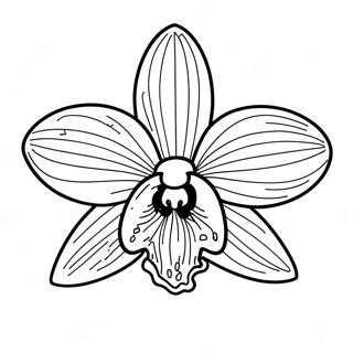 Beautiful Orchid Flower Coloring Page 22434-20696