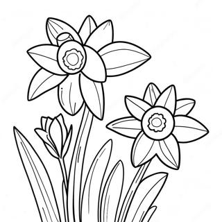 Daffodil Coloring Page 22473-20722