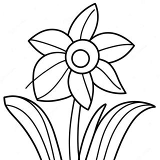 Daffodil Coloring Page 22473-20723