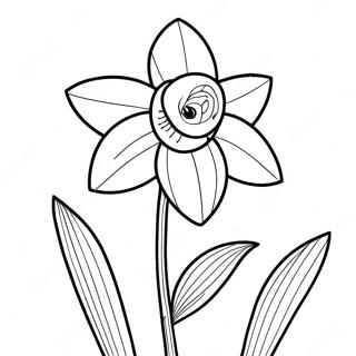 Daffodil Coloring Page 22473-20724