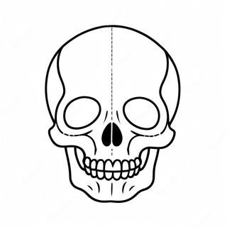 Blank Skull Diagram Coloring Page 23153-21258