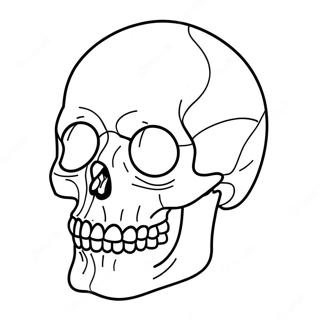 Blank Skull Diagram Coloring Page 23153-21260