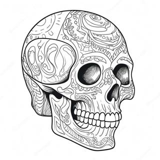 Detailed Skull Anatomy Coloring Page 23154-21262