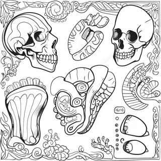 Body Parts Coloring Page 23623-21634