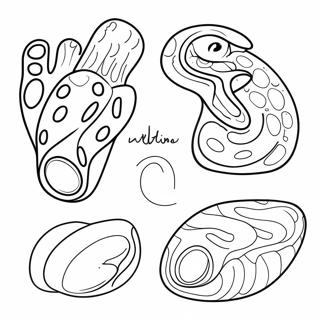 Body Parts Coloring Page 23623-21806