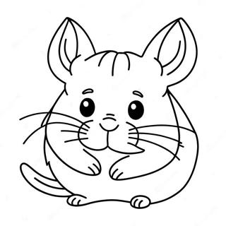 Chinchilla Coloring Pages