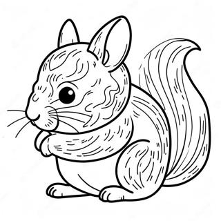 Chinchilla Coloring Page 23803-21952