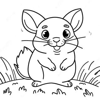 Cute Chinchilla Playing In The Grass Coloring Page 23804-21953