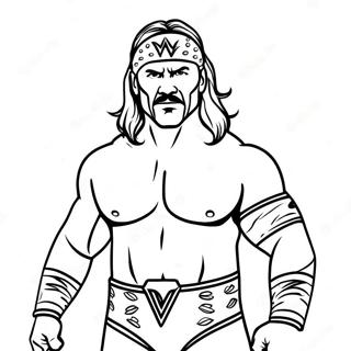 Wwe Wrestler In Colorful Costume Coloring Page 23954-22074