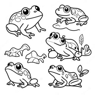 Colorful Life Cycle Of A Frog Coloring Page 24565-22556