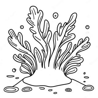 Seaweed Coloring Pages