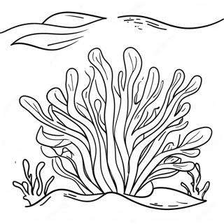 Seaweed Coloring Page 24775-22712