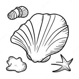 Seashell Coloring Pages