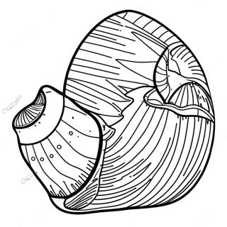 Seashell Coloring Page 2592-2115