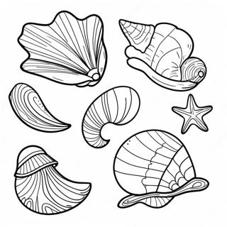 Decorative Seashells Coloring Page 2593-2120