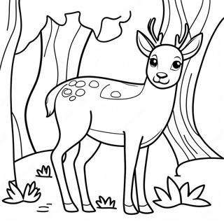 Buck Realistic Deer Coloring Pages