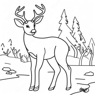 Realistic Buck Deer Coloring Page 26722-24435