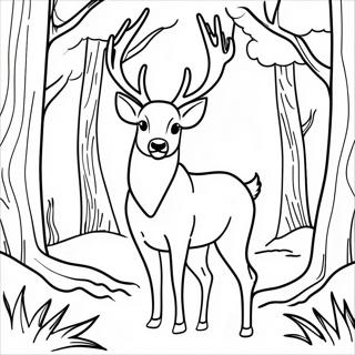 Majestic Buck Deer In Forest Coloring Page 26723-24437