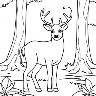 Majestic Buck Deer In Forest Coloring Page 26723-24438